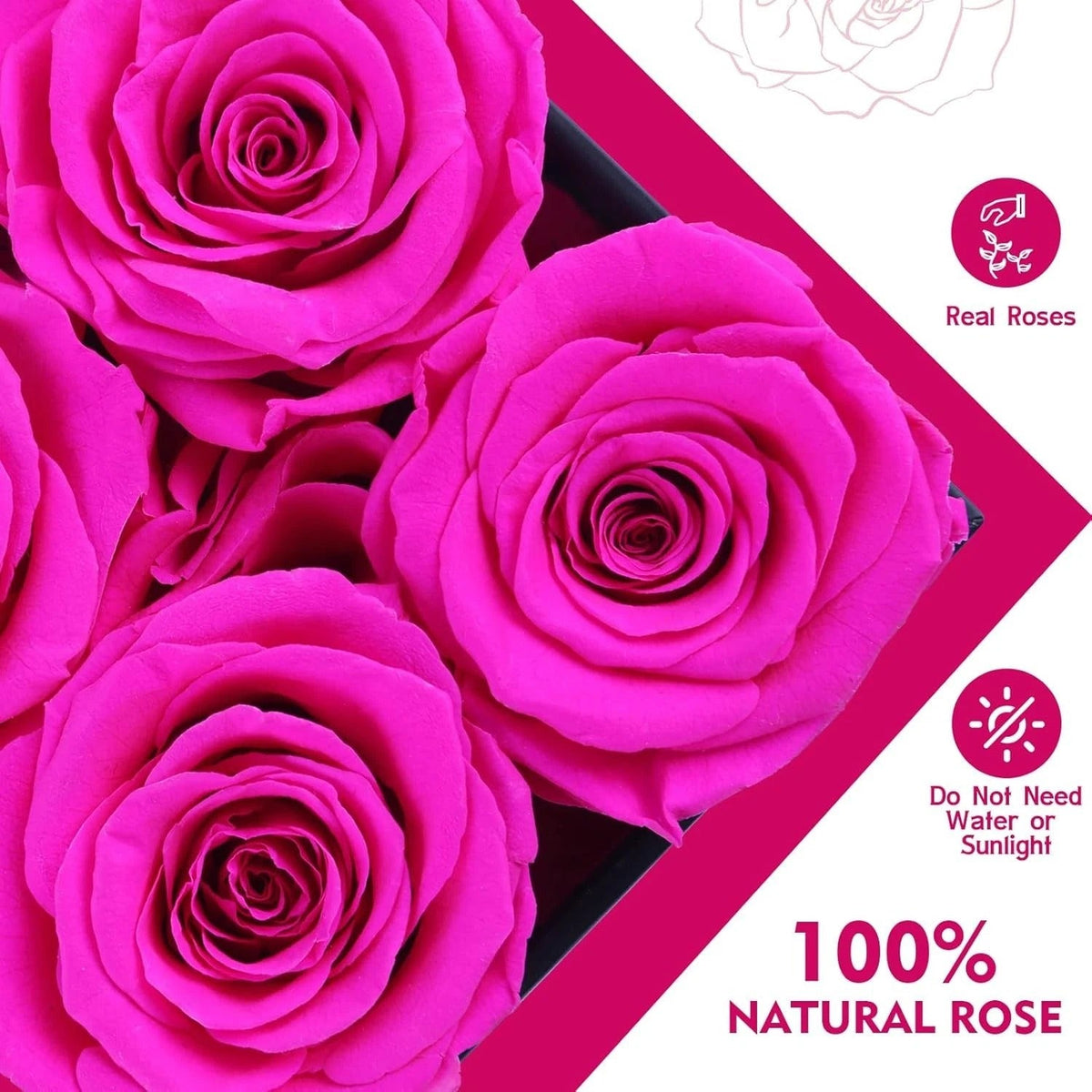 Preserved Rose Gift For Women