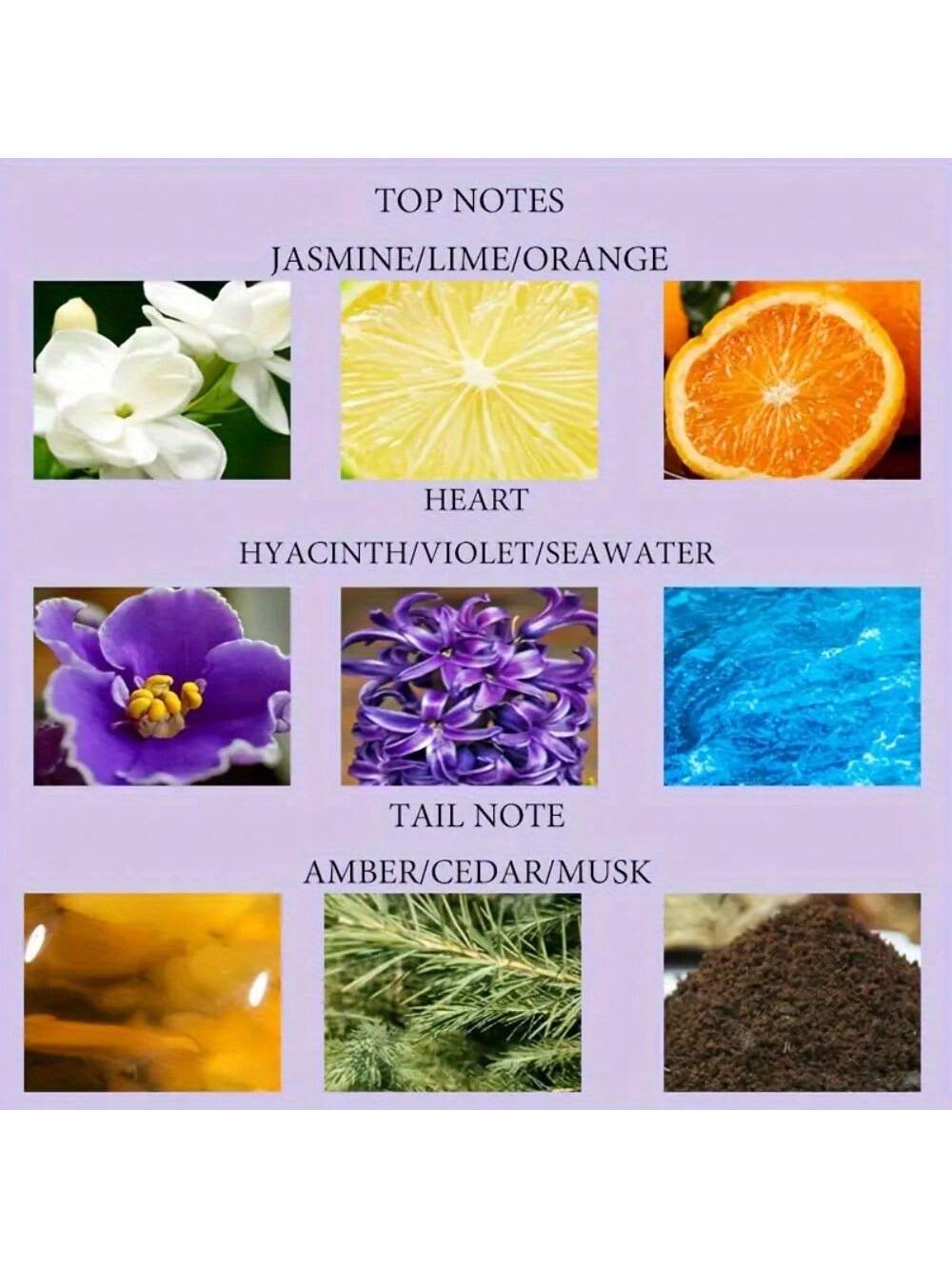 VERSCEISG Luxury Men’s Cologne