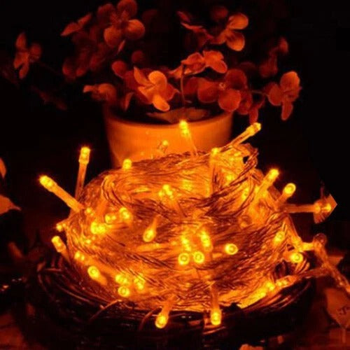 LED Fairy String Christmas Lights