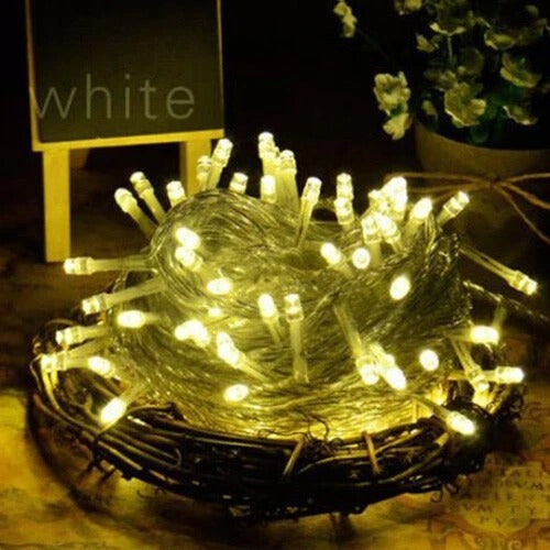 LED Fairy String Christmas Lights